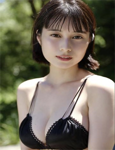 《李宗瑞全集》