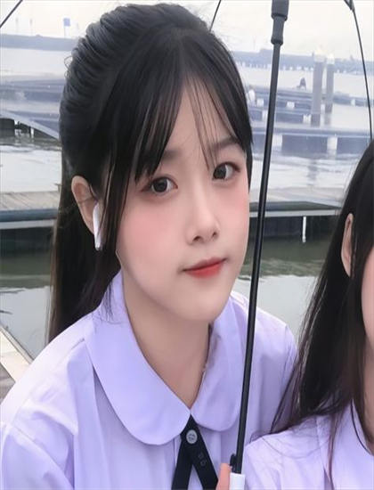 IP开发：《冰雪匠心》导演的艺术风格与视觉语言——影视专家深度分析